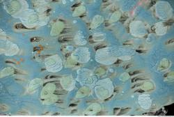 Photo Textures of Paint